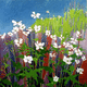 Summer Flowers